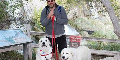 美國男子攜愛犬行走千公里呼籲關注犬類癌症
