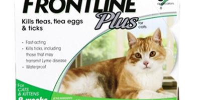 貓驅蟲藥種類有哪些？