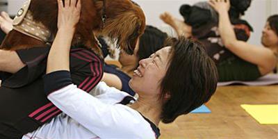 日本開辦寵物瑜伽課