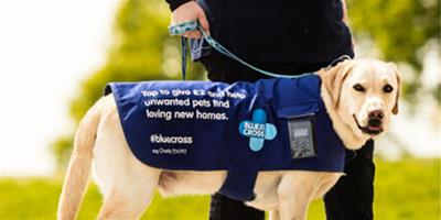 英國寵物狗夾克內置非接觸支付終端 開啟募捐新方式