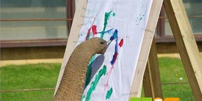 英國大象用鼻子拿畫筆作畫