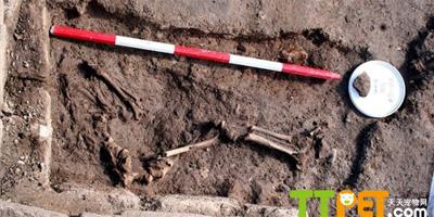 英國發現1800年前女童屍骸