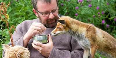 英國攝影師收養狐狸與獵犬成親密夥伴