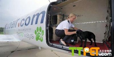美國寵物航空首航動物乘客2個月機位已滿