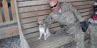 美國大兵堅持“它是家人”，將阿富汗流浪貓帶回家