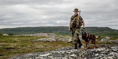 挪威美麗女兵帶狗巡邏邊境線