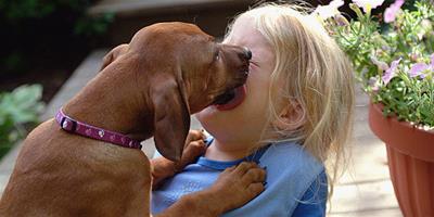 狗狗為什麼喜歡舔人的臉