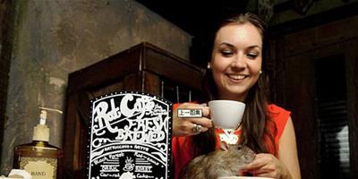 英國老鼠咖啡屋顧客喝咖啡老鼠滿屋跑