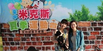 台中文心森林公園米克斯夏季運動會 為寵物找新家