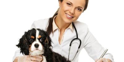 狗狗食管梗塞的症狀和防治
