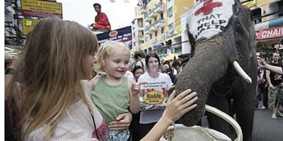 泰國大象為海地災區募集善款