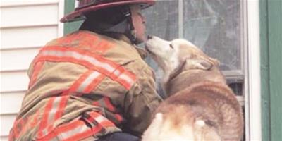 寵物狗獲救後 向消防員獻吻