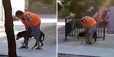 溫暖人心！智利男子幫扶年邁寵物狗在公園散步