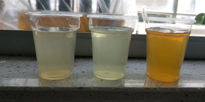檸檬酸和硫酸亞鐵的使用方法