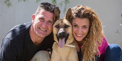 西班牙：餓成骨架的流浪狗，7周後終於找到幸福