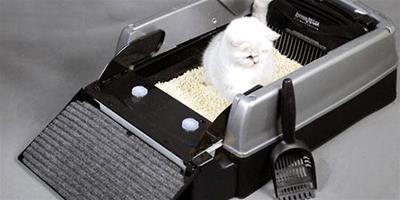 真的有自動清潔貓砂盆嗎？