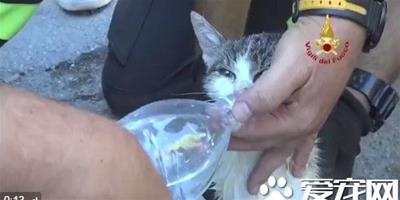 地震第6天救出小貓 救難人員手扶瓶口溫柔喂水