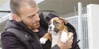 愛犬痛失伴侶 主人環游歐洲為它徵婚