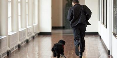 歷屆美國總統與他們親愛的寵物狗