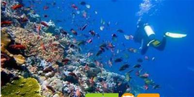 亞洲國家聯合發佈保護珊瑚礁倡議