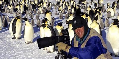 南極企鵝集體“叩別”死亡幼仔