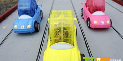 小倉鼠參加賽車比賽