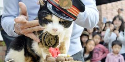“貓站長”歡慶16歲生日 粉絲到場祝賀