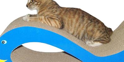 如何讓貓使用貓抓板