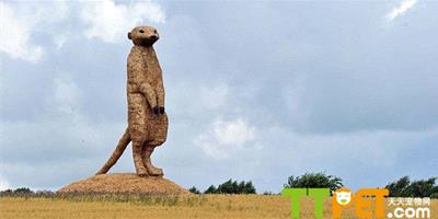 英國用稻草建造11米高的貓鼬雕塑