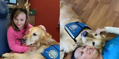 牙醫聘請助療犬幫病人放鬆