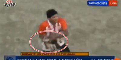 阿根廷足球比賽，球員掐狗脖子扔狗被紅牌罰下