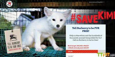 英國：網友簽名拯救為Burberry犧牲的小狐狸