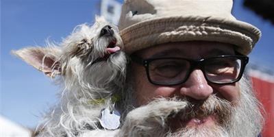 美國加州舉行“2013世界最醜狗”大賽