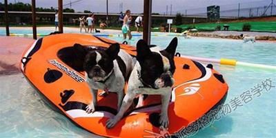 西班牙為狗狗打造專屬泳池