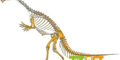 泰國發現東南亞古老恐龍化石