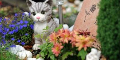 緬懷“家庭至親” 德國寵物墓地受歡迎