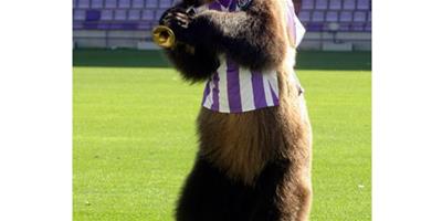 俄羅斯熊為觀眾和球員表演吹喇叭節目
