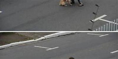 巴西11歲少年不顧危險攔車救下寵物狗