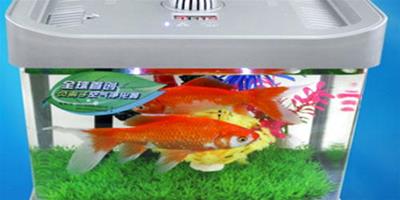 觀賞魚魚缸的玻璃膠怎麼選？