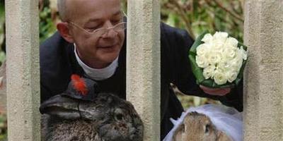 世界上首例兔子婚禮
