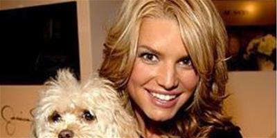 潔西嘉辛普森愛犬丟失近一年以微博悼念