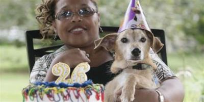 世界最長壽的狗 美國小獵犬過26歲生日(圖)