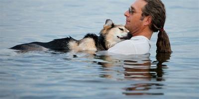 19歲狗患嚴重關節炎，主人每天抱其海裡游泳