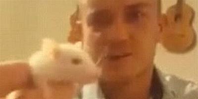 兇殘:男子咬斷寵物白鼠頭 被法院判虐待動物