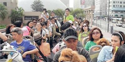 香港50人偕愛犬搭巴士，動物團體倡設假日寵物專線