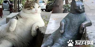 超萌慵懶貓Tombili過世 土耳其設立雕像紀念