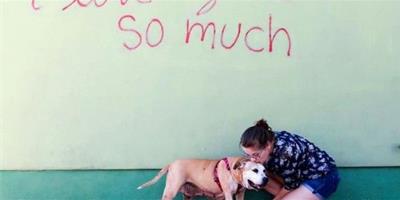 感動：在收容所呆了1000多天的13歲狗狗終於找到家人