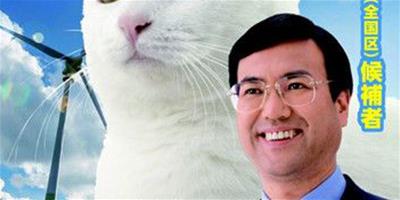日本候選人竟讓白貓當海報主角 看到它會感到幸福