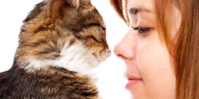 幫貓咪節食可以讓你們更親密？