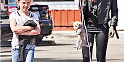 貝金賽爾虐待愛狗被拍 網友聲討